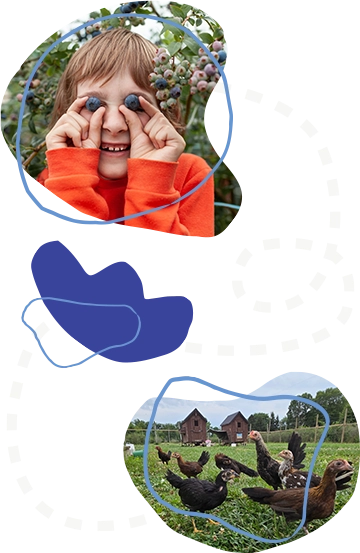 two images cut out into organic shapes with light blue, crayon-inspired line shapes overlaying them: a close-up photo of a young girl in an orange shirt holding blueberries over her eyes and smiling, and a cluster of free-range chickens