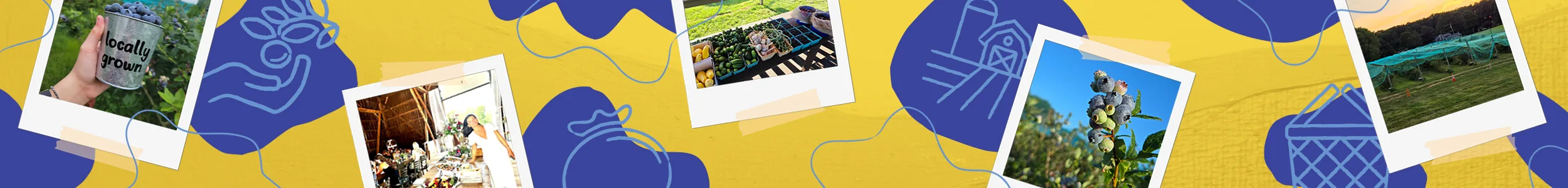 images styled like polaroid photos with masking tape (a woman's hand holding blueberries in a siler "locally grown" bucket, an event taking place in the Martin Blueberries event barn, pre-picked produce at the Martin Blueberries roadside stand, a cluster of ripening blueberries, the Martin Blueberries berry fields covered with green netting), all overlaid on a yellow background interspersed with organic dark blue shapes and light blue, crayon-inspired icons of a hand picking a blueberry, a barn and field, a blueberry, and a picnic basket